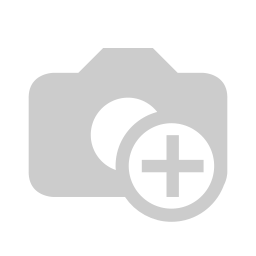 2019 Springdale SM2200MB19 — photo 8